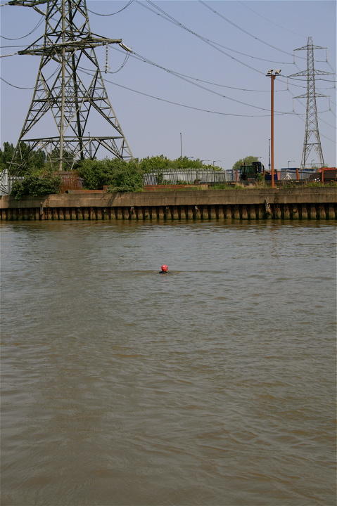 River Thames swim in progress